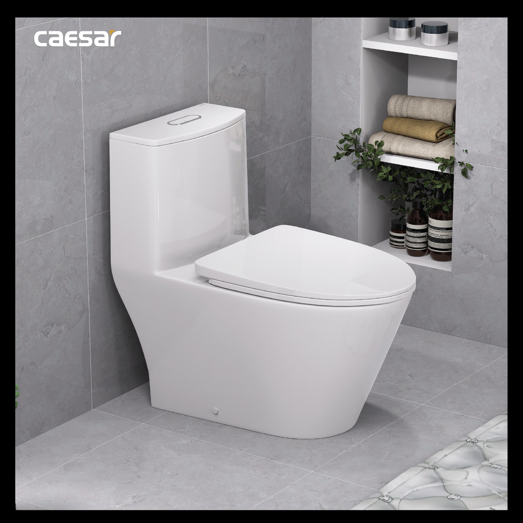 Bồn cầu 1 khối Caesar C1363 (CD1363) nắp đóng êm - 12