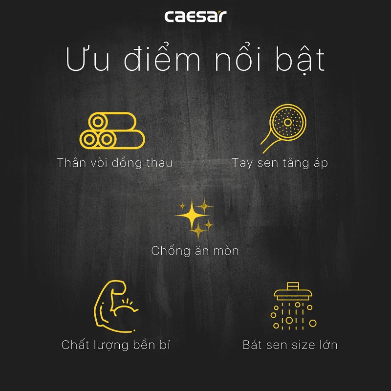 Sen tắm âm tường nóng lạnh Caesar BS641 - 5