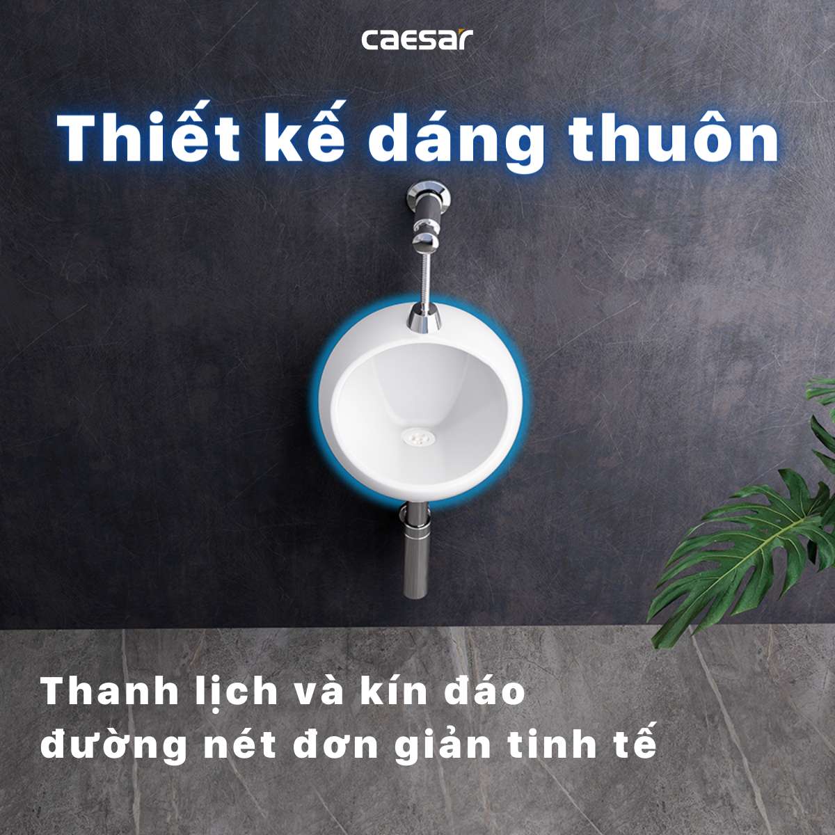 Bồn tiểu nam treo tường Caesar U0210 - 17