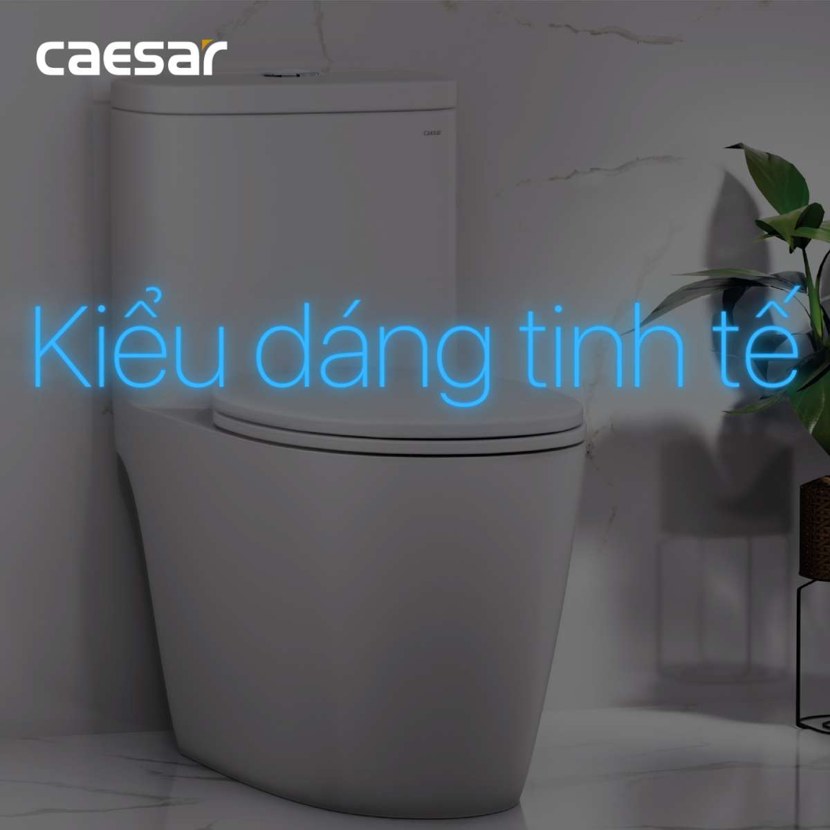 Nắp bồn cầu đóng êm Caesar MU234 - 13