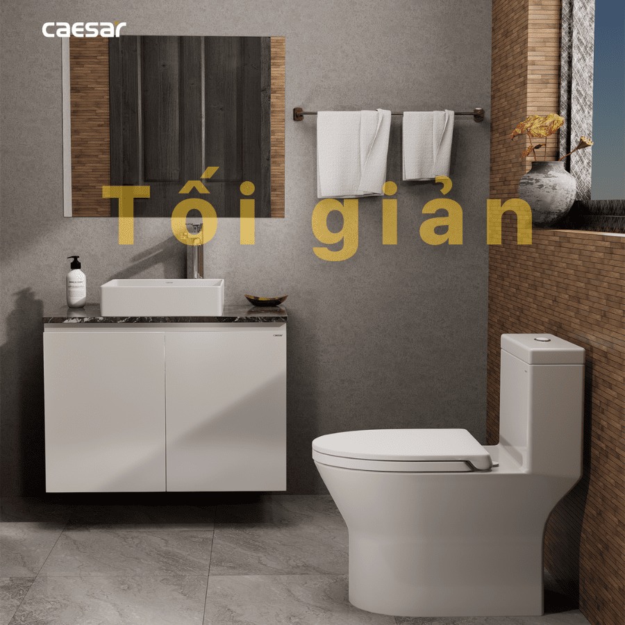 Chậu lavabo đặt bàn Caesar LF5252 - 16