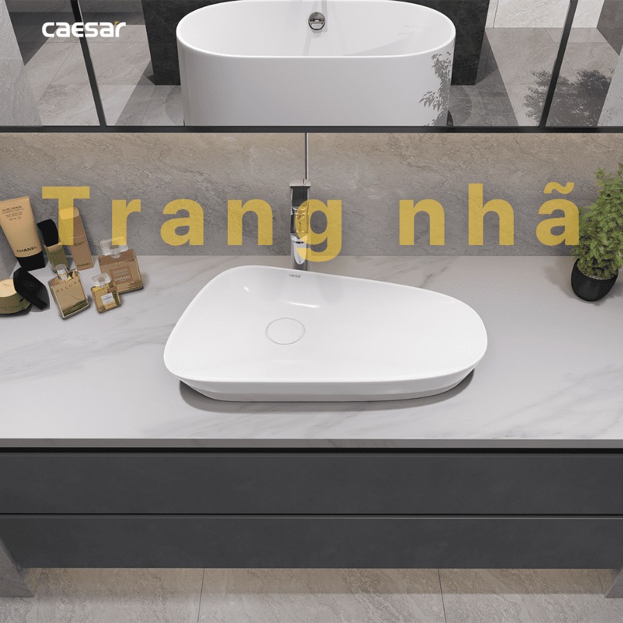 Chậu lavabo đặt bàn Caesar LF5260 - 21
