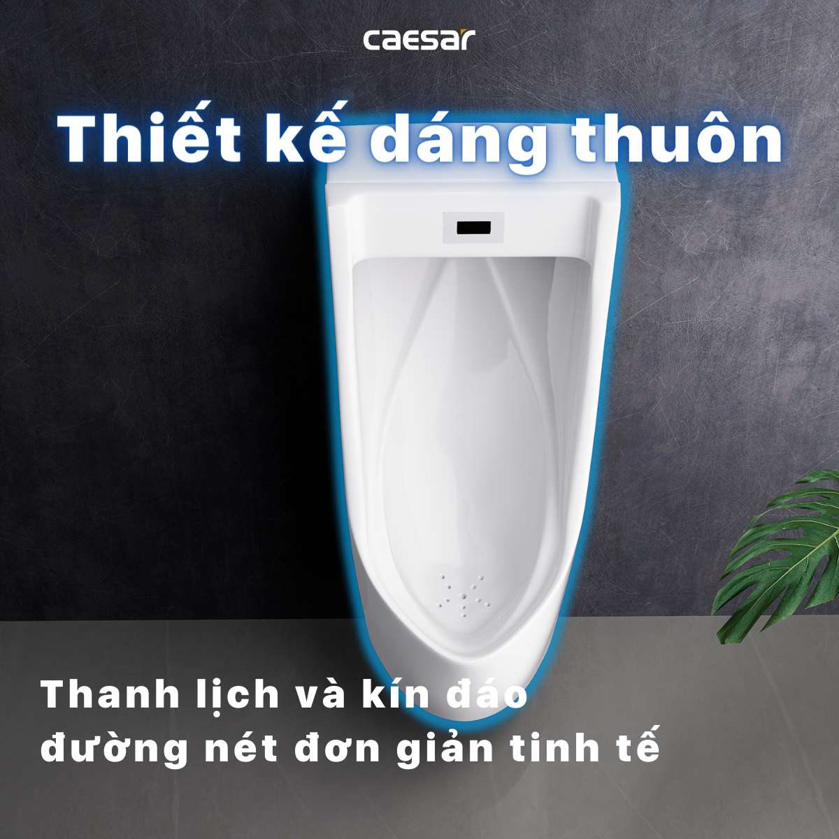 Bồn tiểu nam treo tường van cảm ứng Caesar UA0283 - 11