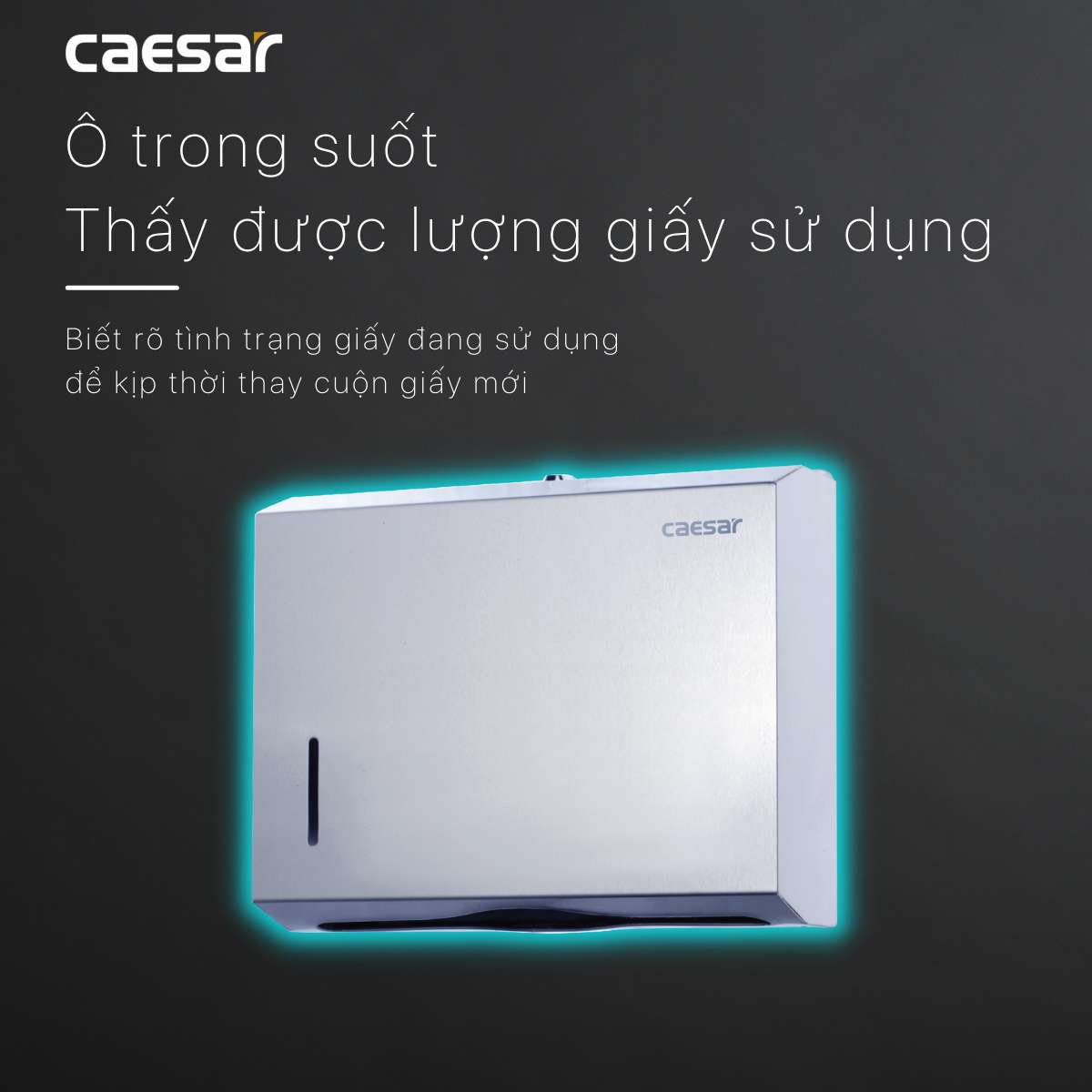 Hộp giấy vệ sinh inox Caesar ST127 - 12