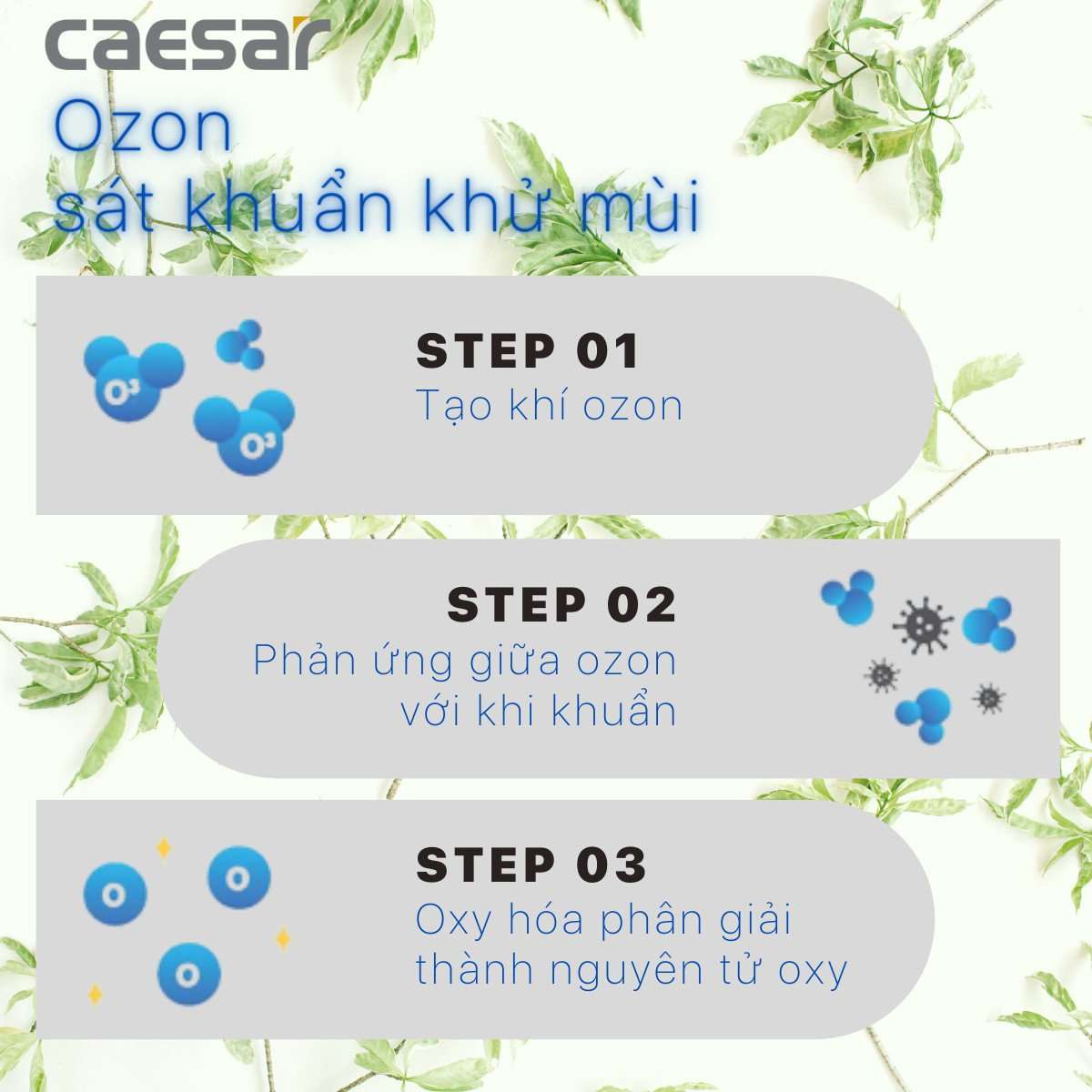 Van tiểu cảm ứng tạo ozon dùng điện Caesar A649OZ - 9