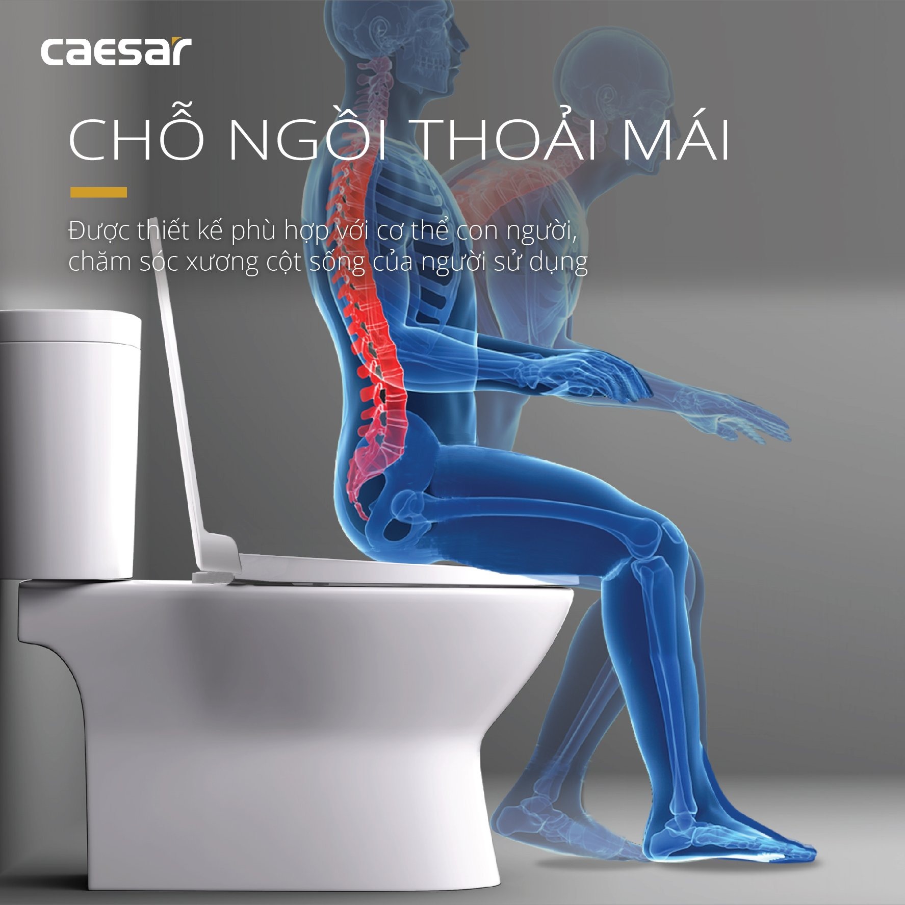 Bồn cầu 2 khối Caesar CD1320 nắp đóng êm - 13