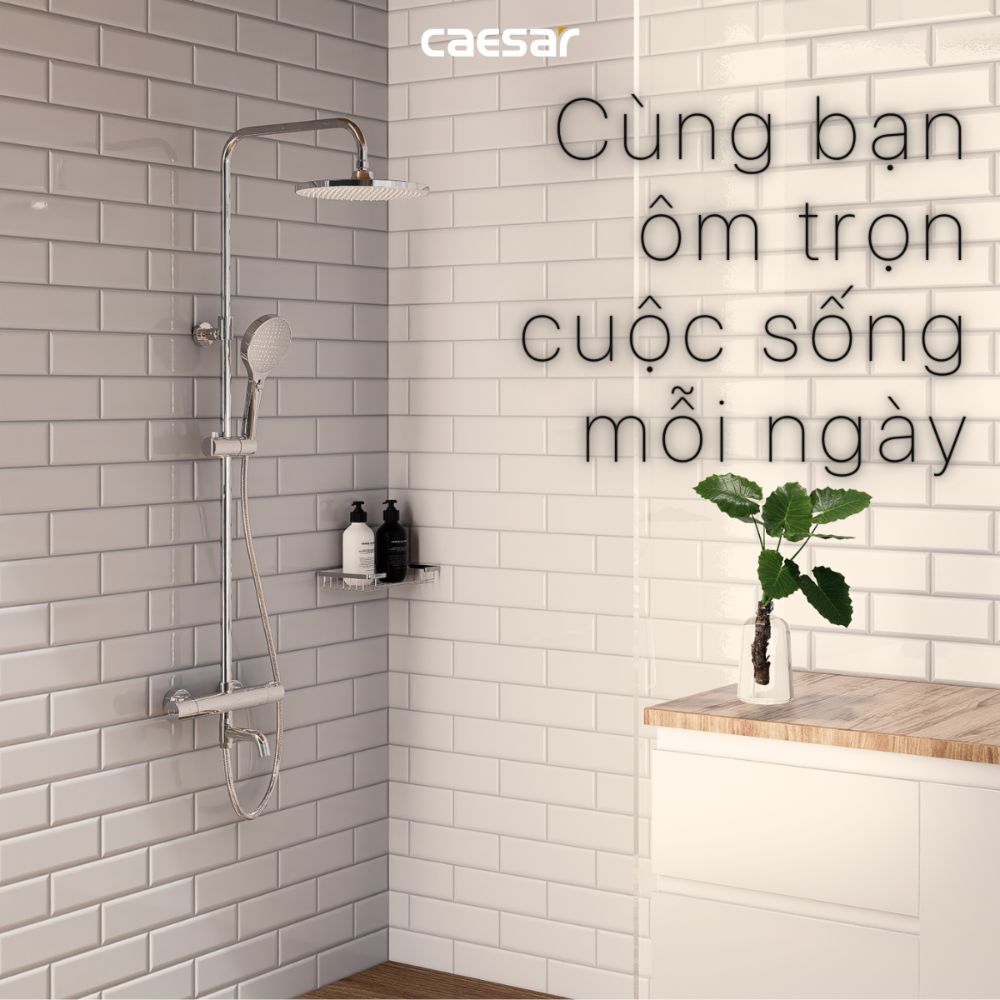 Bộ sen tắm cây nhiệt độ Caesar S1038S - 10