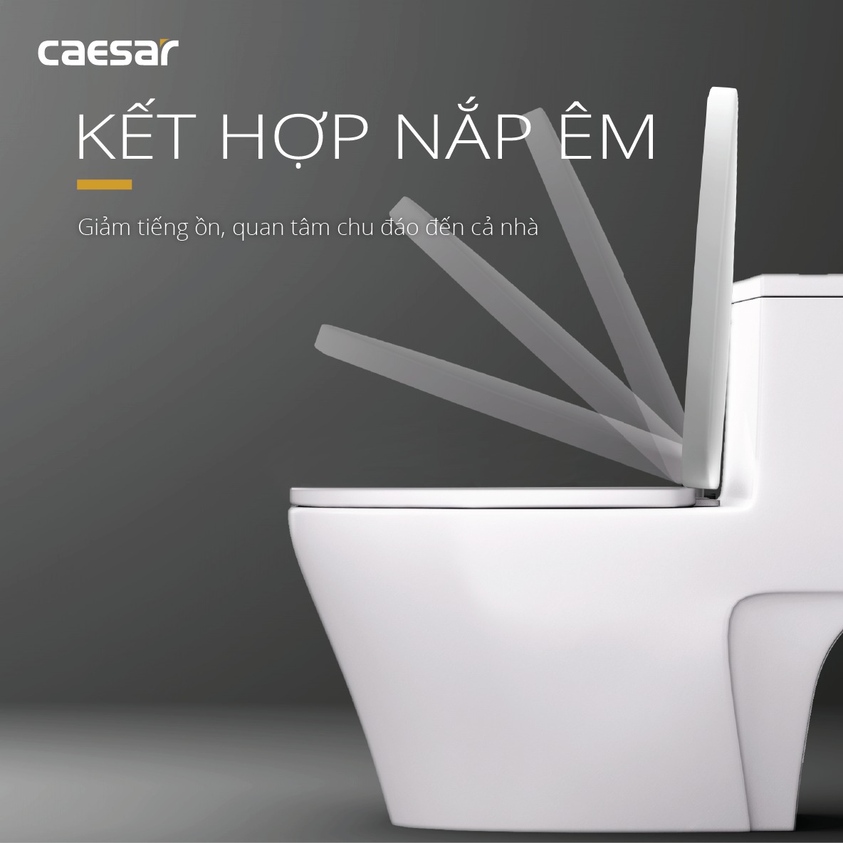 Bồn cầu 1 khối Caesar C1356 (CD1356) nắp đóng êm - 18