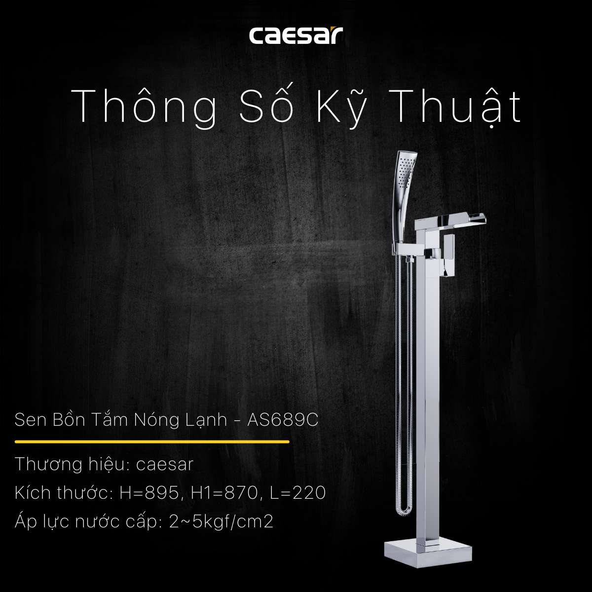Vòi bồn tắm nóng lạnh Caesar AS689C - 13