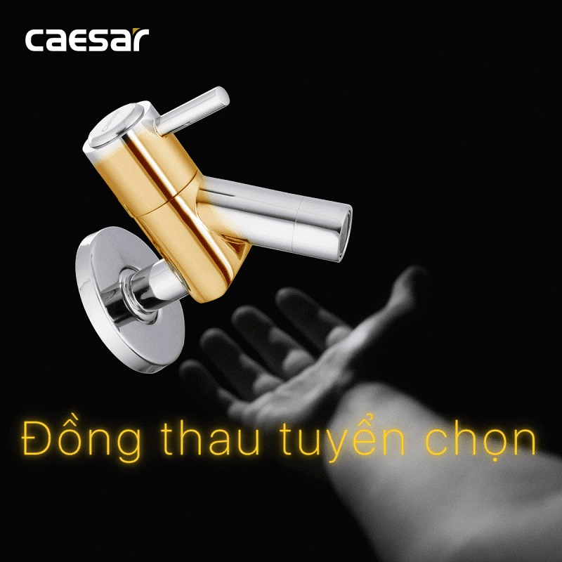 Vòi nước lạnh gắn tường Caesar W047C - 14