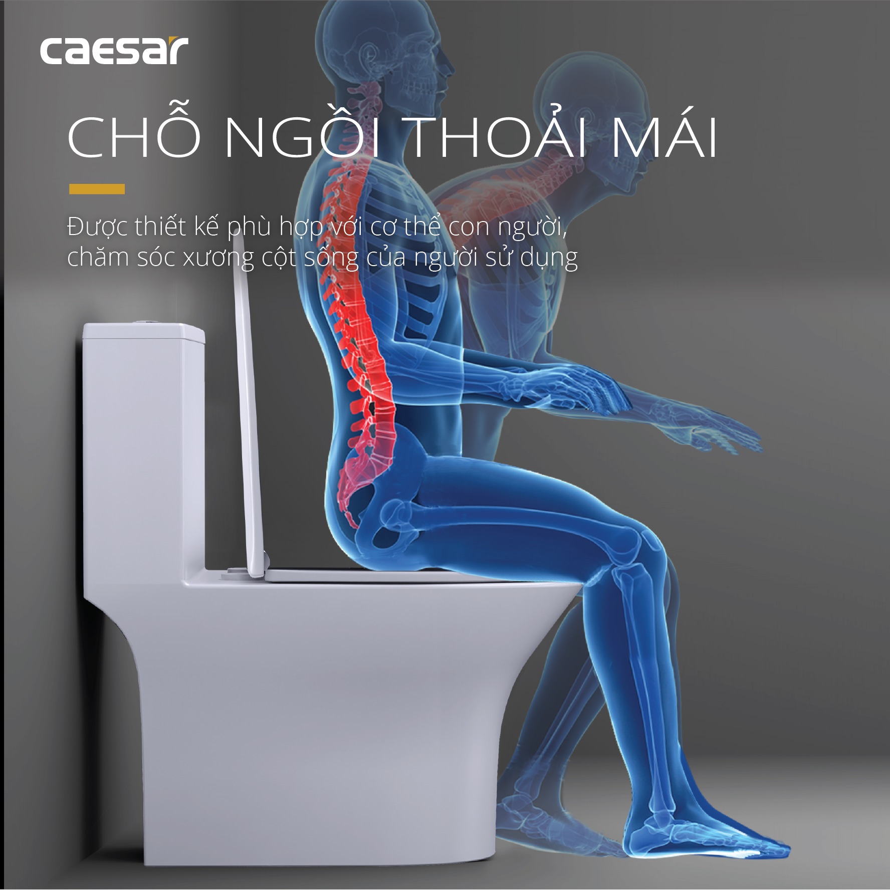 Bồn cầu 1 khối nắp êm Caesar C1391 - 13