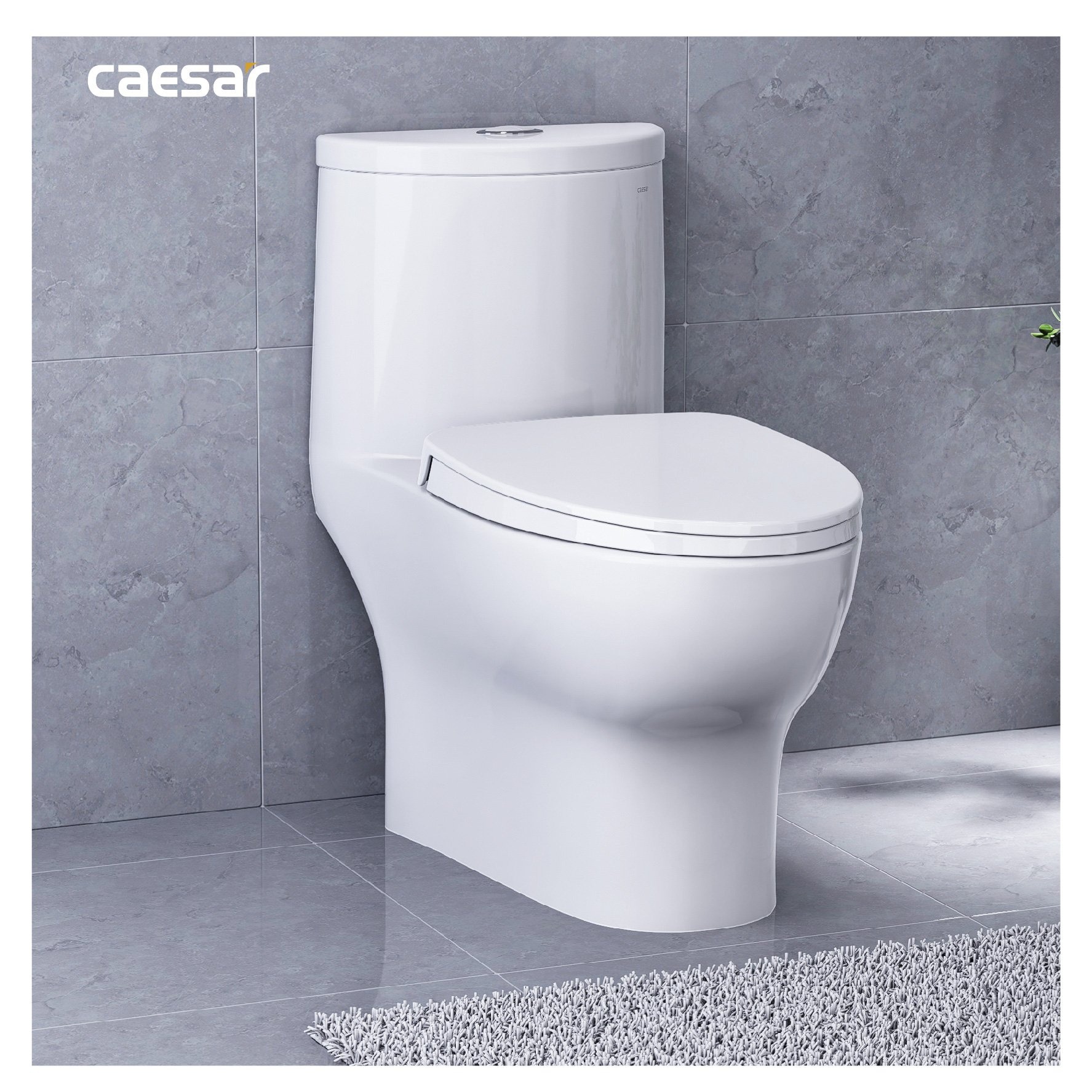 Bồn cầu 1 khối Caesar C1375 (CD1375) nắp đóng êm - 19