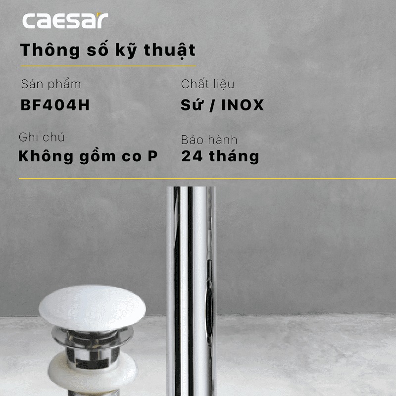 Bộ xả nắp sứ Caesar BF404H - 8