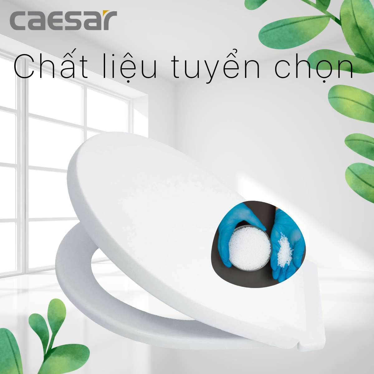 Nắp bồn cầu thường Caesar M284 - 11