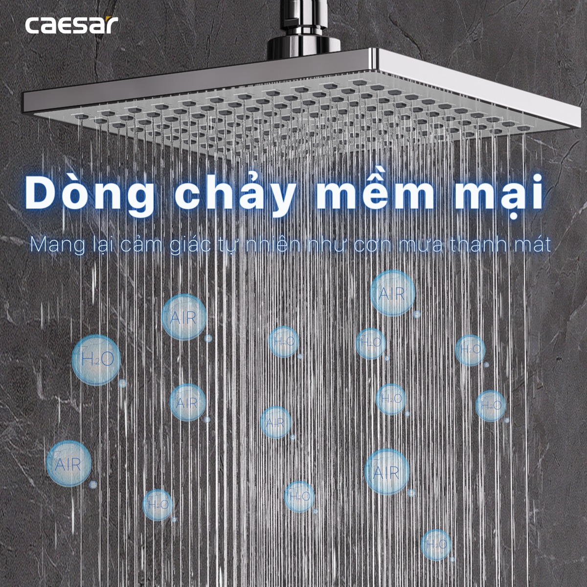 Sen cây tắm đứng Caesar BS124 - 9