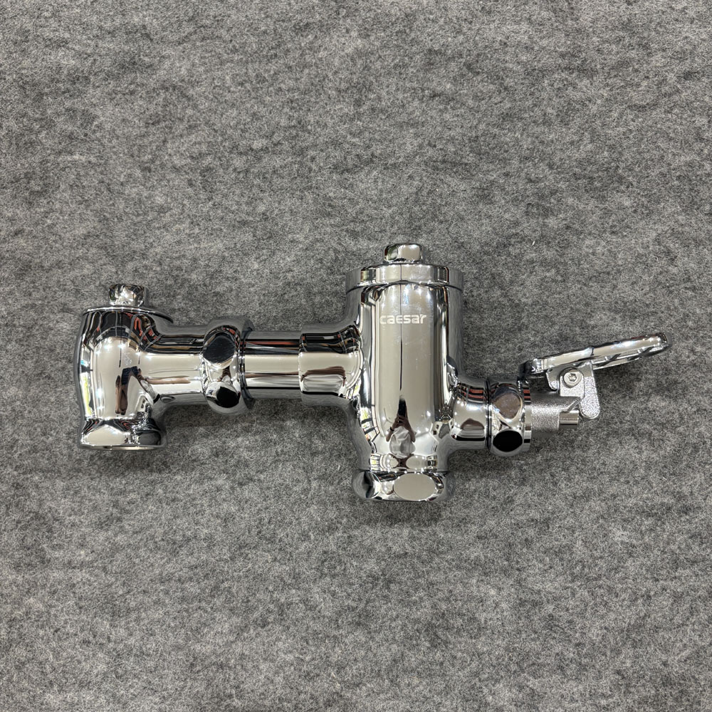 Bộ xả gạt tay bồn cầu Caesar BF525 - 6