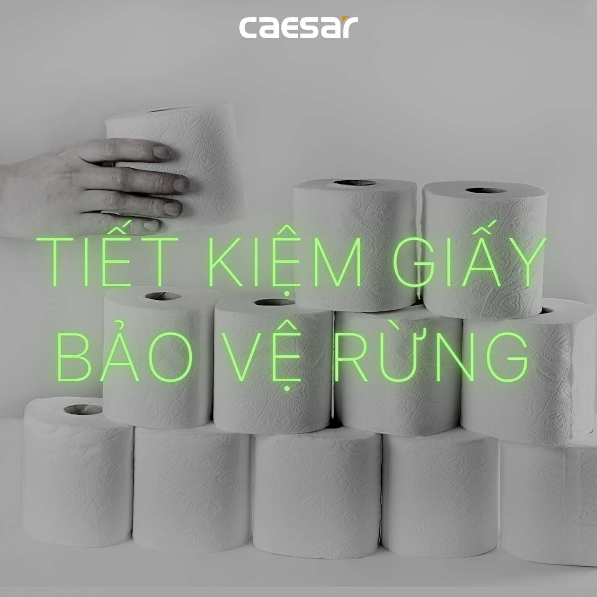 Hộp giấy vệ sinh inox Caesar ST127 - 13