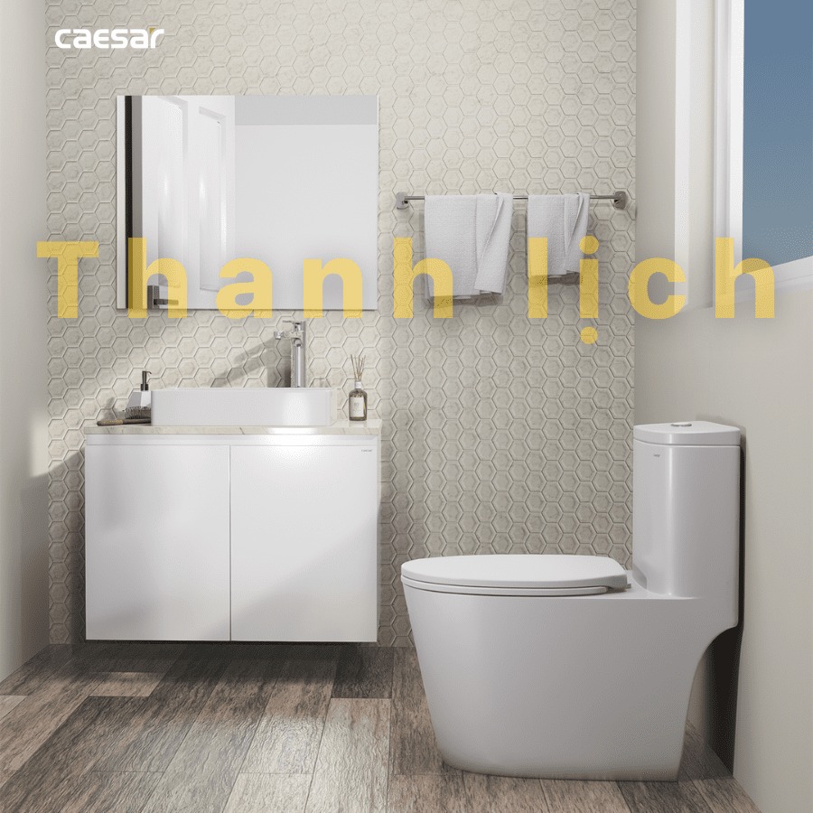 Chậu lavabo đặt bàn Caesar LF5254 - 26