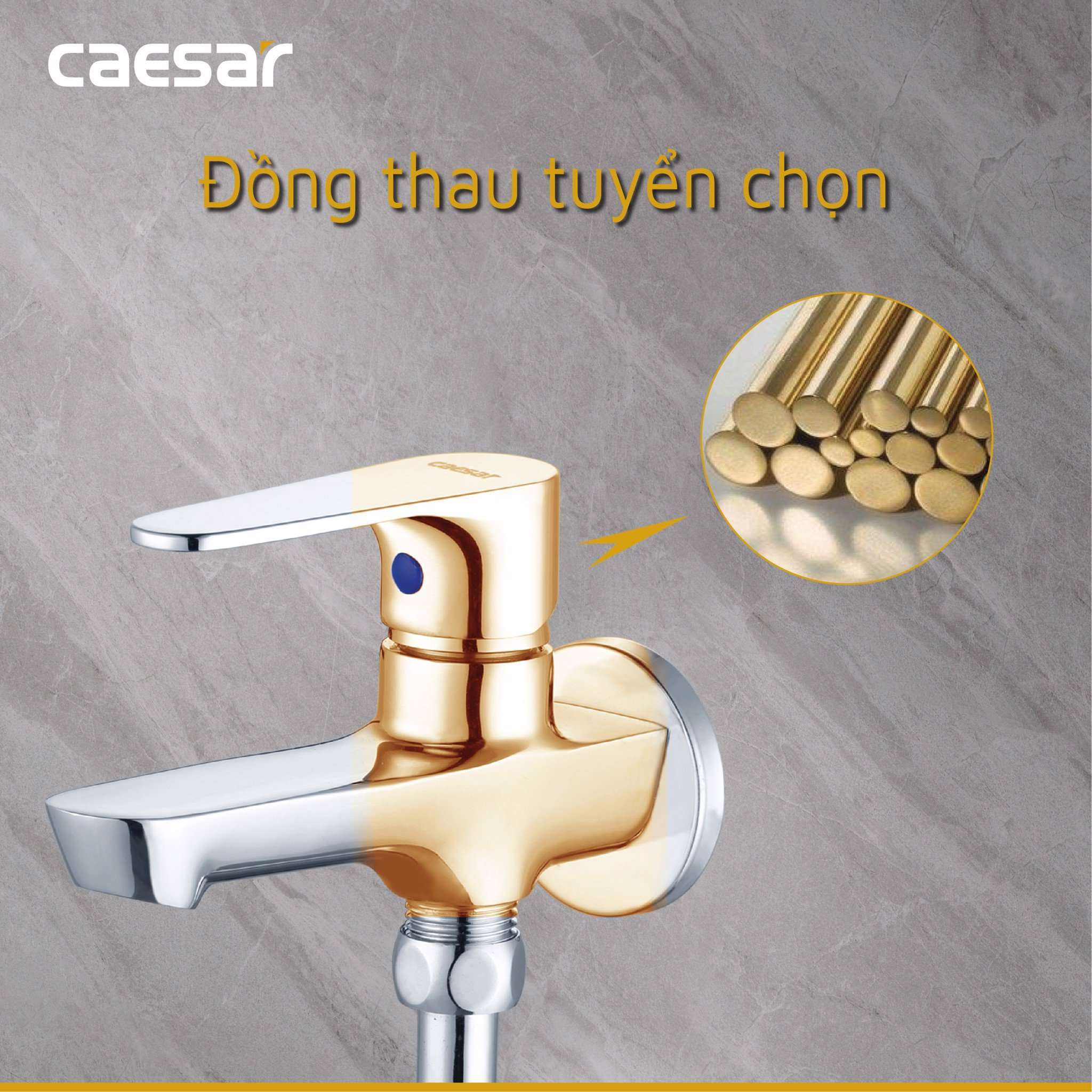 Bộ vòi sen tắm lạnh Caesar S063C (Tay sen tắm xi) - 16