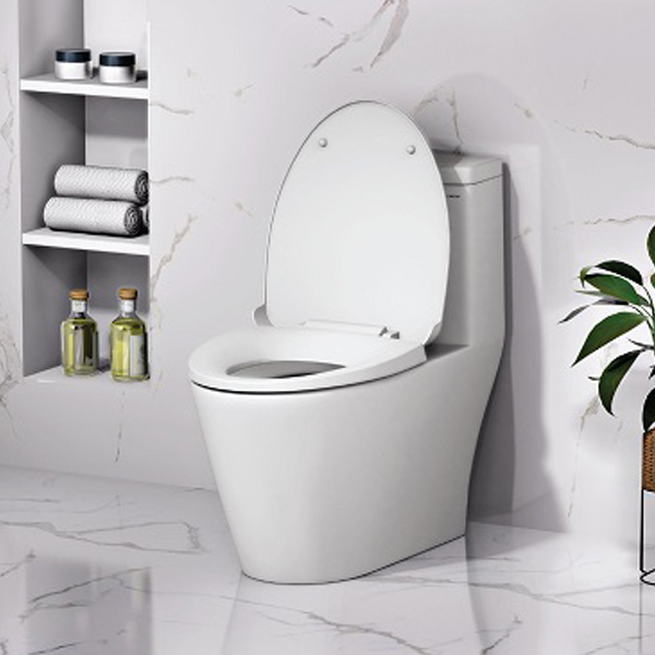 Bồn cầu 1 khối Caesar C1363 (CD1363) nắp đóng êm - 2
