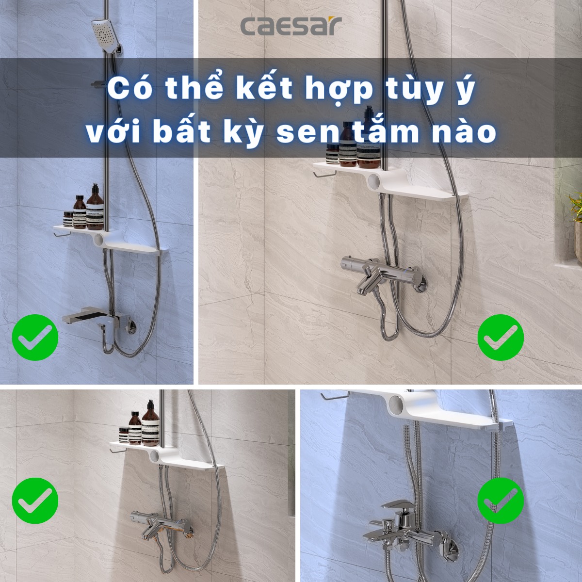 Sen cây tắm đứng Caesar BS126 - 24