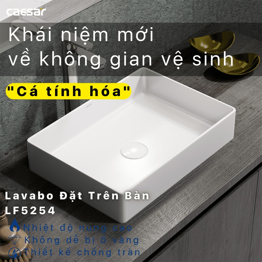 Chậu lavabo đặt bàn Caesar LF5254 - 12