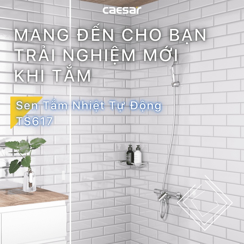 Bộ vòi sen tắm nhiệt độ Caesar TS617 - 5