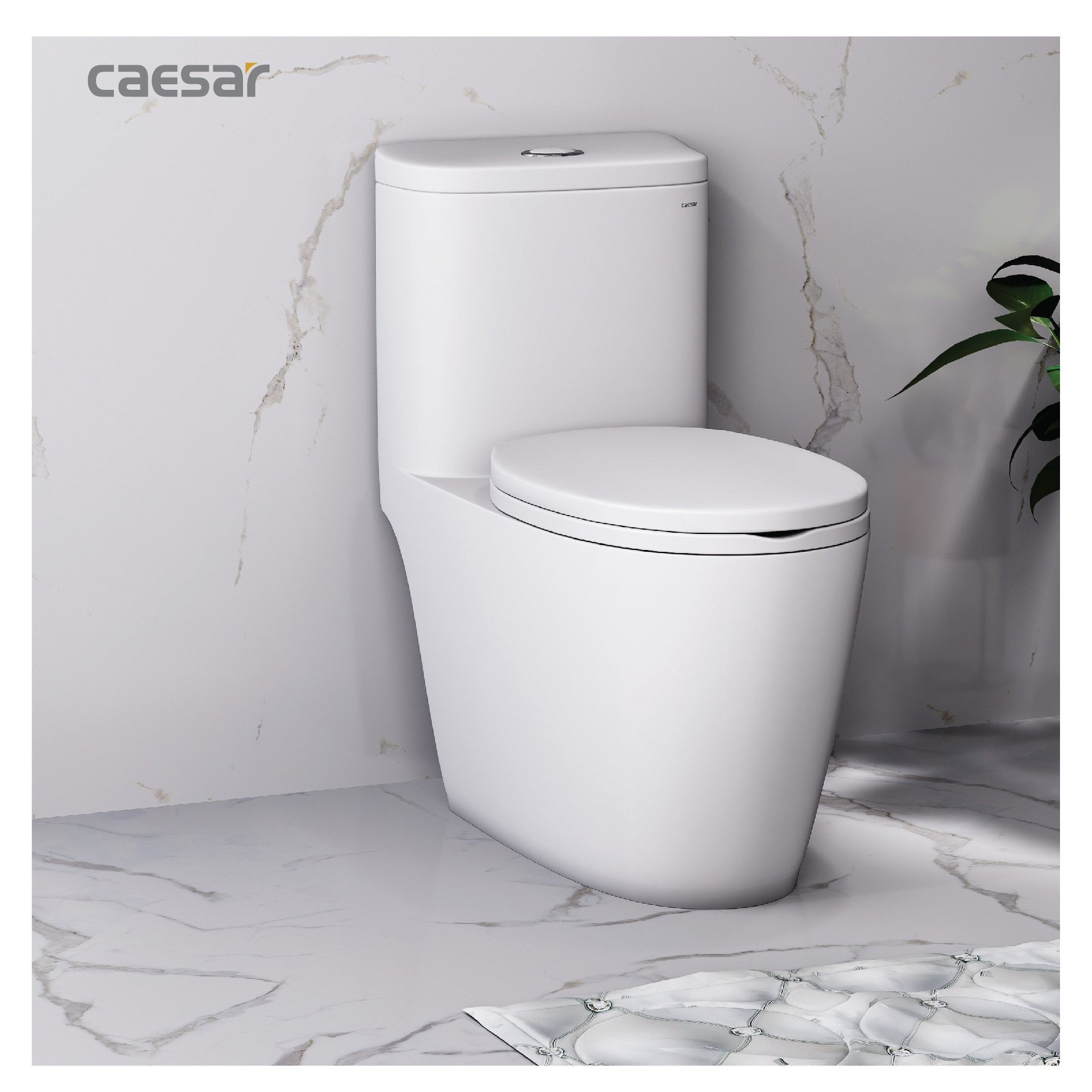 Bồn cầu 1 khối Caesar C1364 (CD1364) nắp đóng êm - 19
