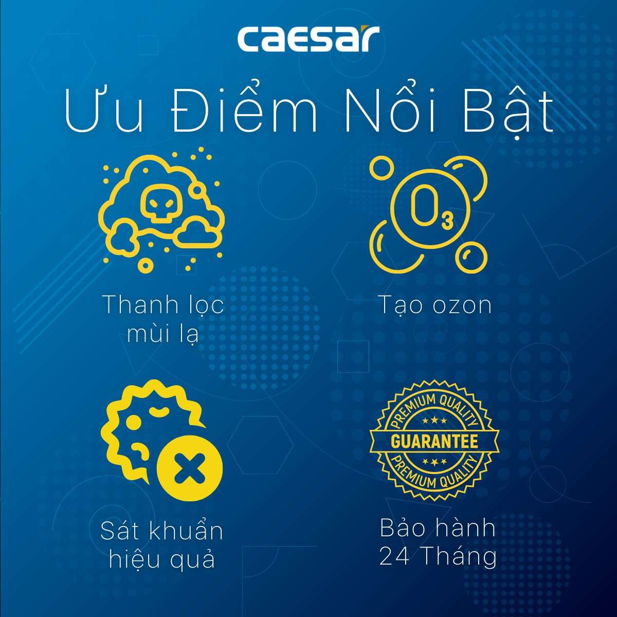 Máy tạo ozon Caesar A610OZ - 4