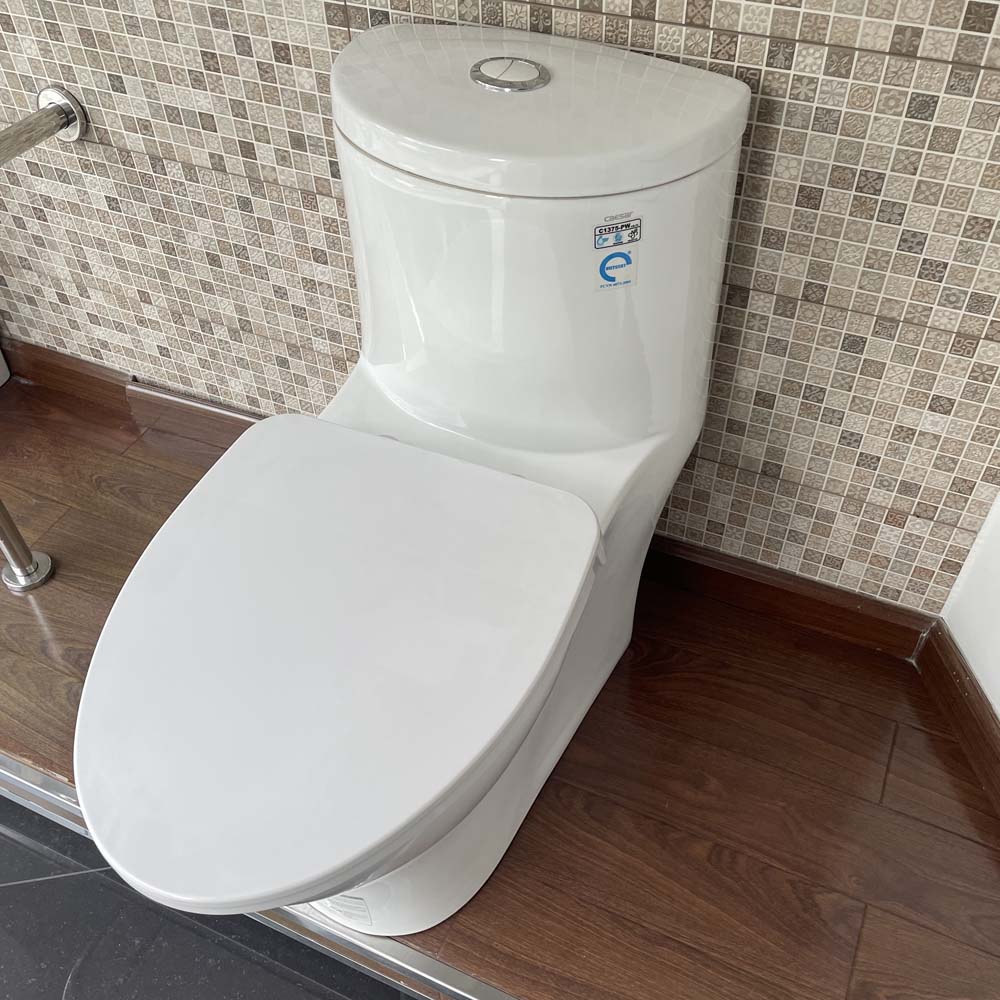 Bồn cầu 1 khối Caesar C1375 (CD1375) nắp đóng êm - 6