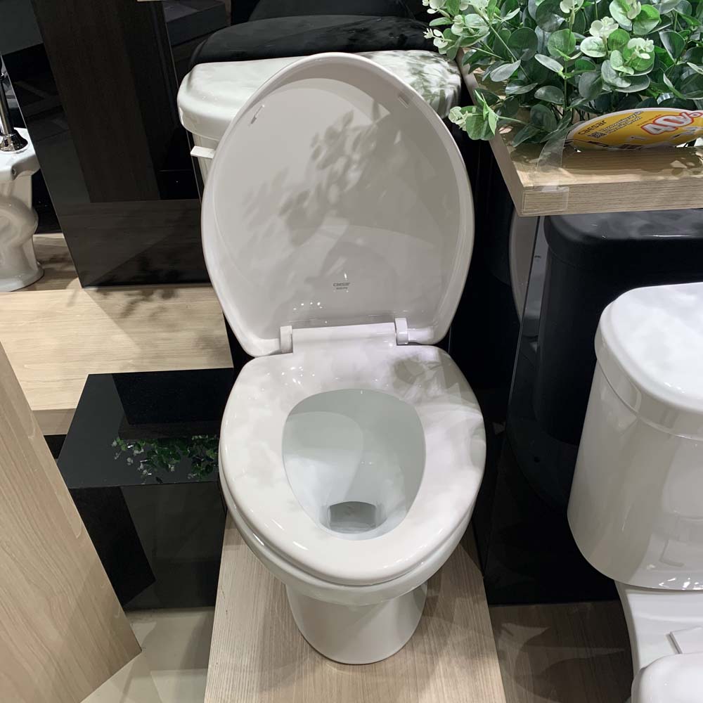 Bồn cầu 2 khối Caesar CPT1332 nắp thường - 5