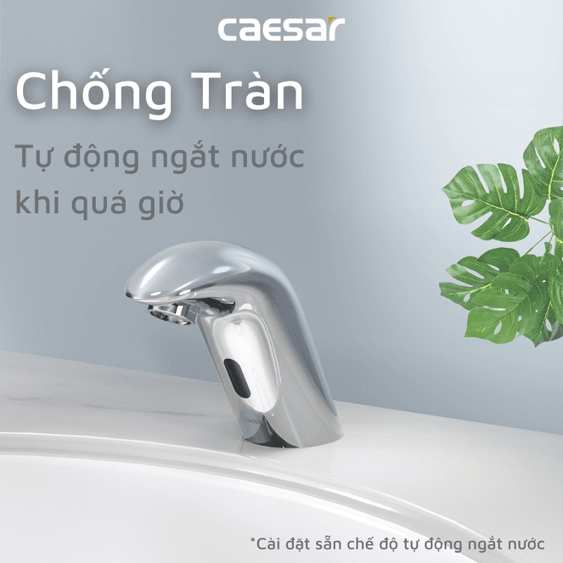 Vòi chậu lavabo cảm ứng nước lạnh Caesar A910 - 14
