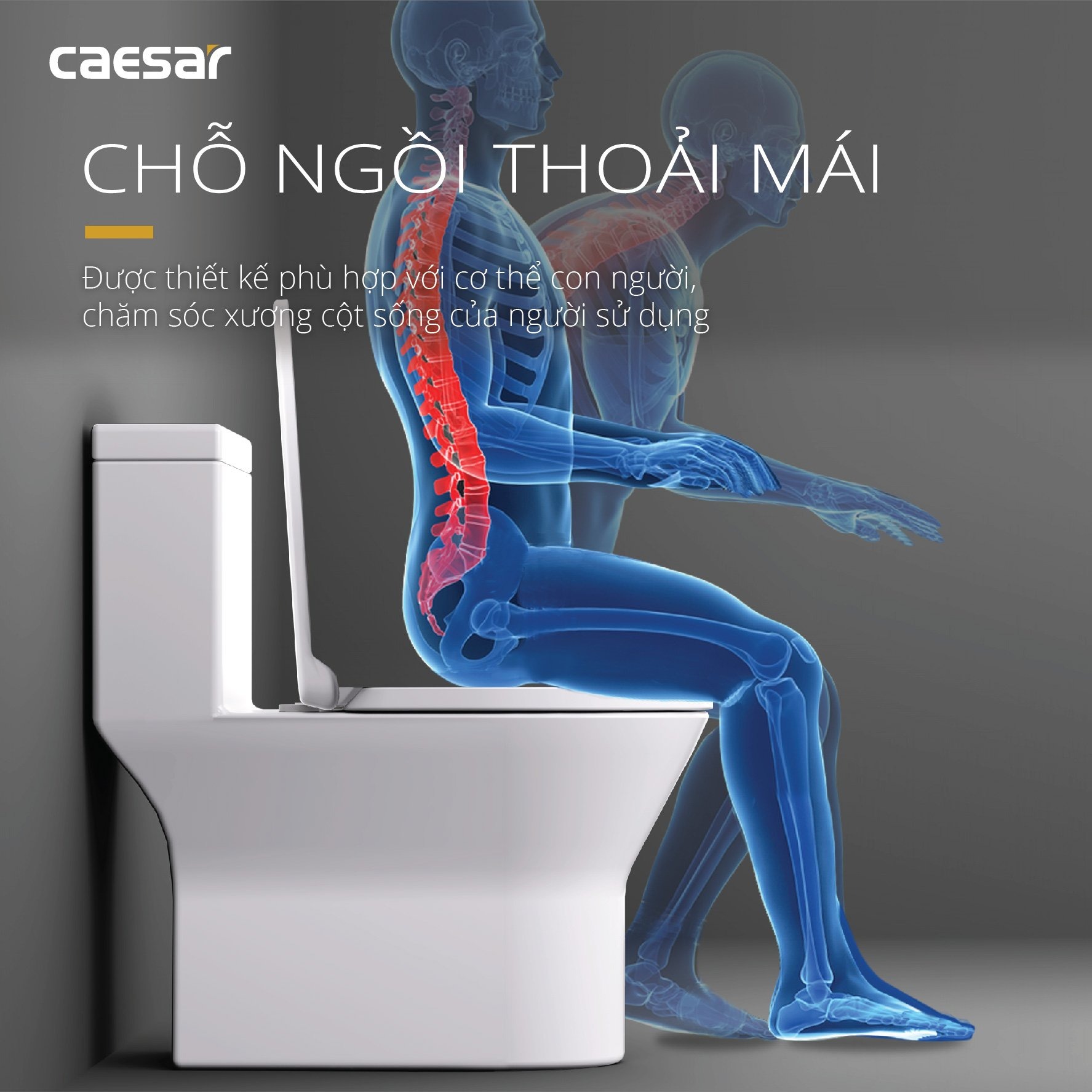 Bồn cầu 1 khối Caesar C1374 (CD1374) nắp đóng êm - 17