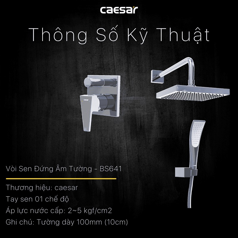 Sen tắm âm tường nóng lạnh Caesar BS641 - 17