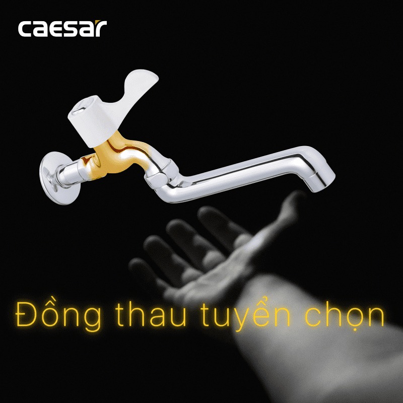 Vòi nước lạnh gắn tường Caesar WL027C - 6