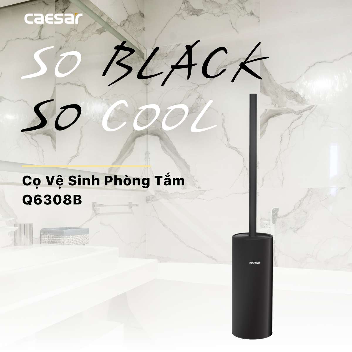 Cọ vệ sinh bồn cầu Caesar Q6308B - 5