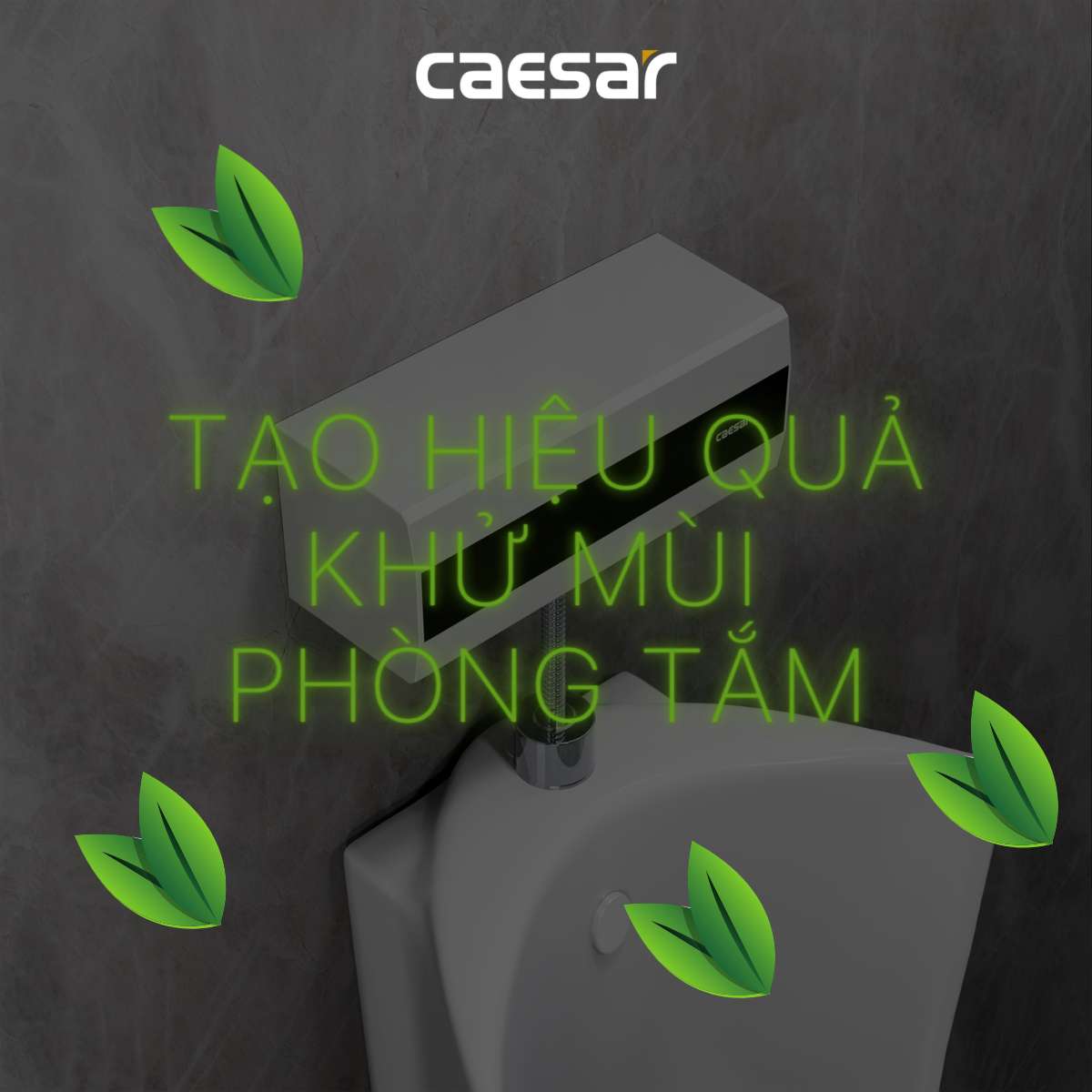 Van tiểu cảm ứng tạo ozon dùng điện Caesar A649OZ - 7