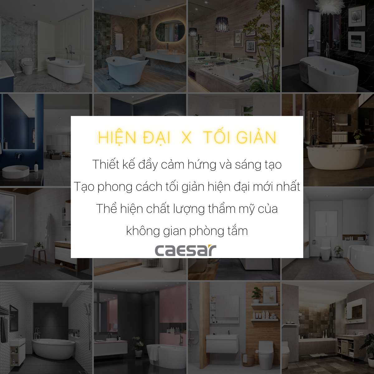 Cọ vệ sinh bồn cầu Caesar Q6308B - 6