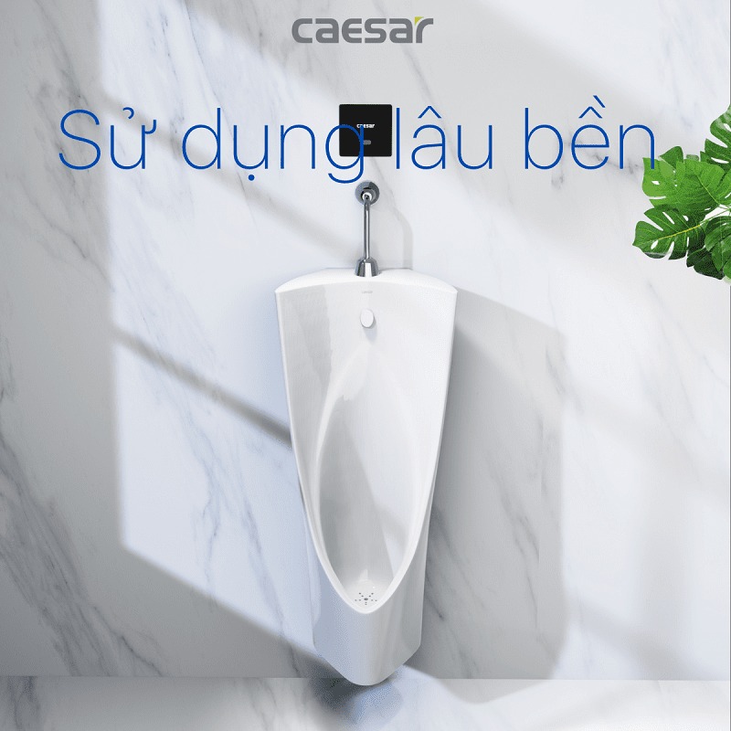 Bồn tiểu nam treo tường thoát ngang Caesar U0235 - 7