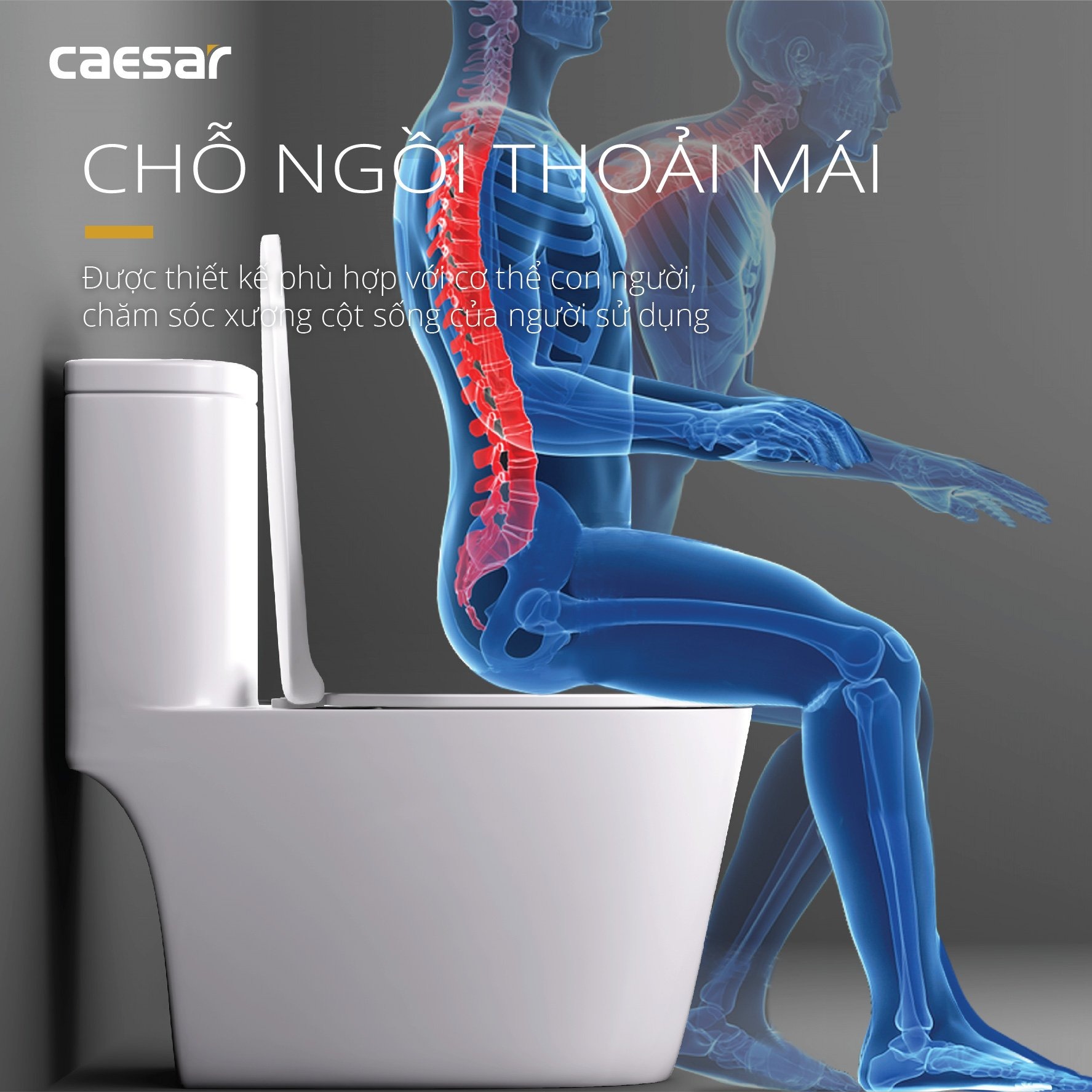 Bồn cầu 1 khối Caesar C1364 (CD1364) nắp đóng êm - 15