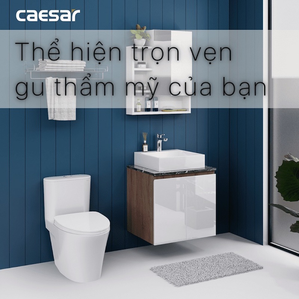 Tủ lavabo Caesar EH46001AWV - 5