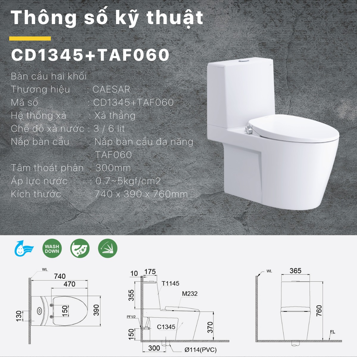 Bồn cầu 2 khối nắp rửa cơ Caesar CD1345+TAF060 - 7