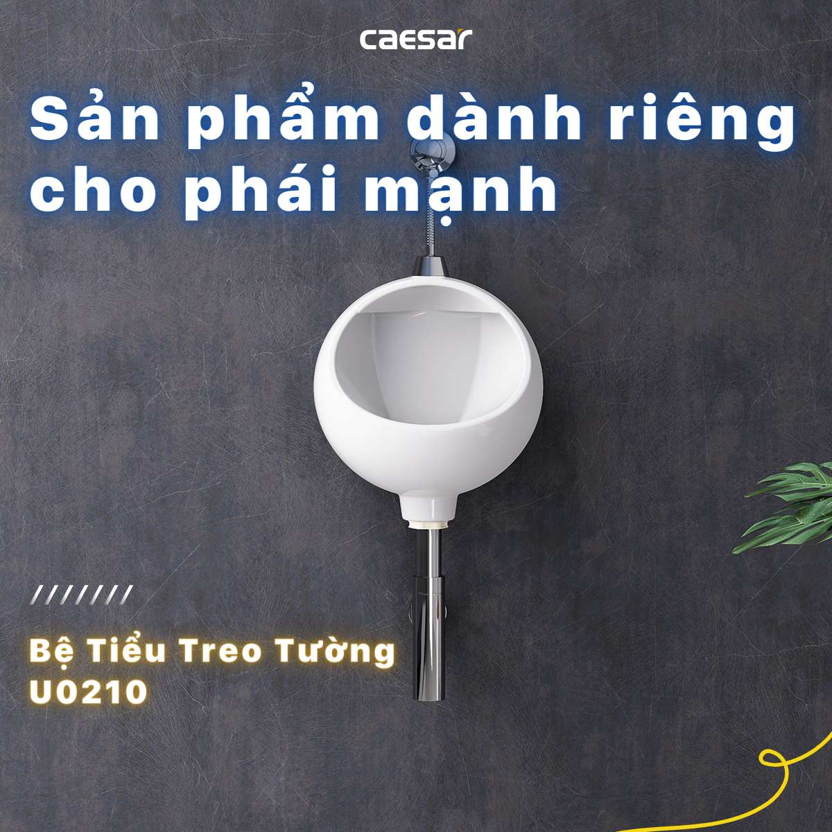 Bồn tiểu nam treo tường Caesar U0210 - 9