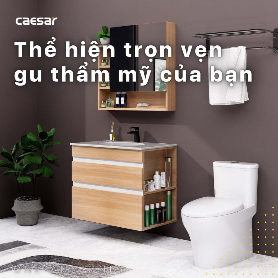 Tủ lavabo Caesar EH15026DDRW7V - 5