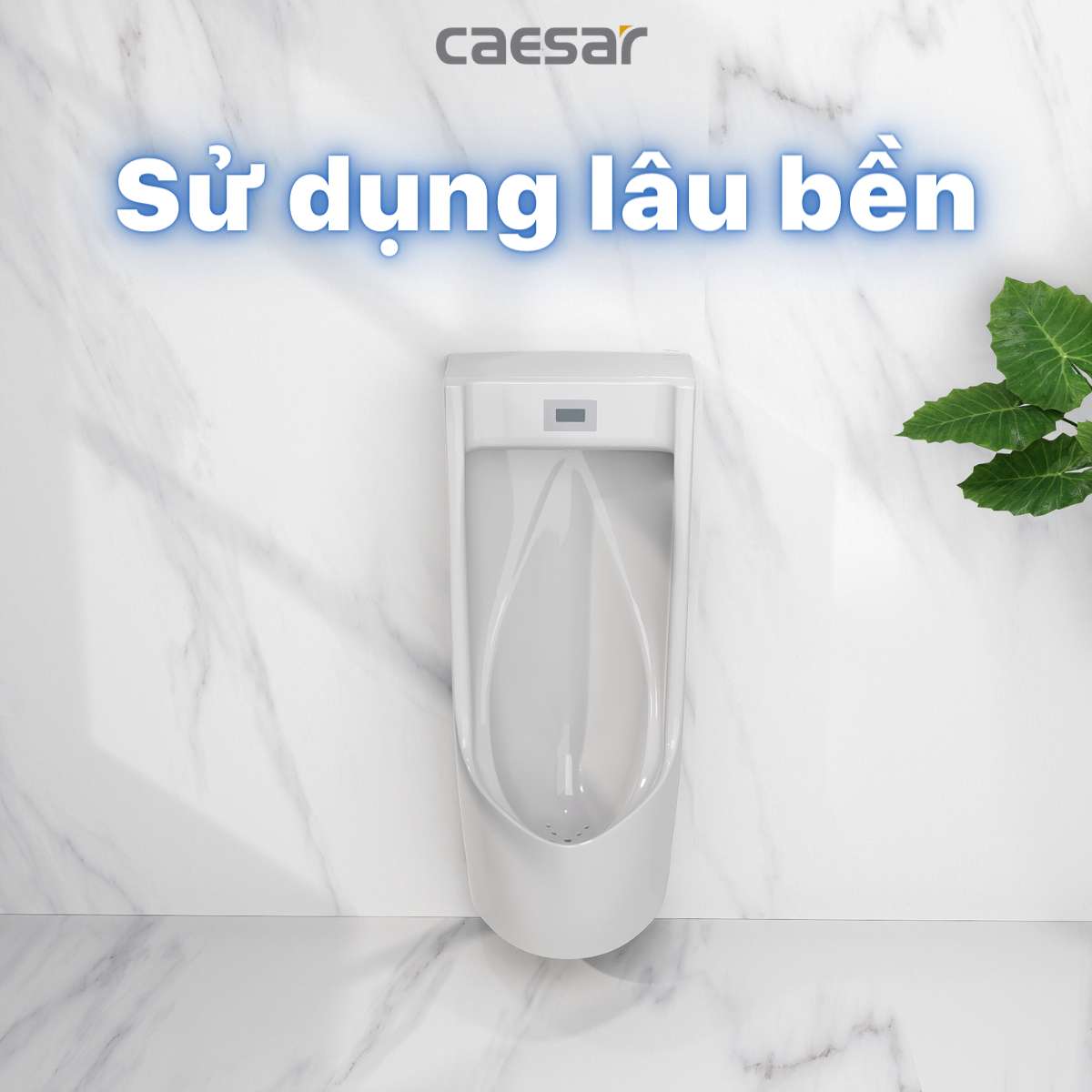 Bồn tiểu nam treo tường van cảm ứng Caesar UA0283 - 10