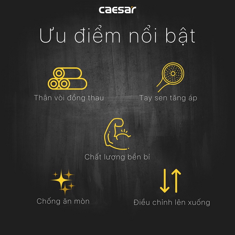 Bộ vòi sen tắm nhiệt độ Caesar TS617 - 7