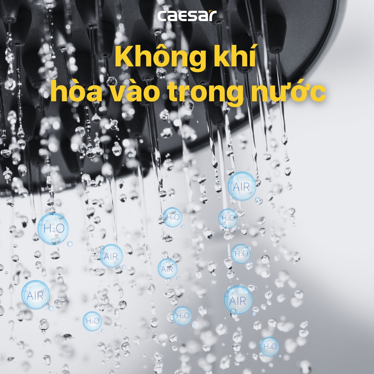 Sen thuyền nóng lạnh Caesar SP137 - 8