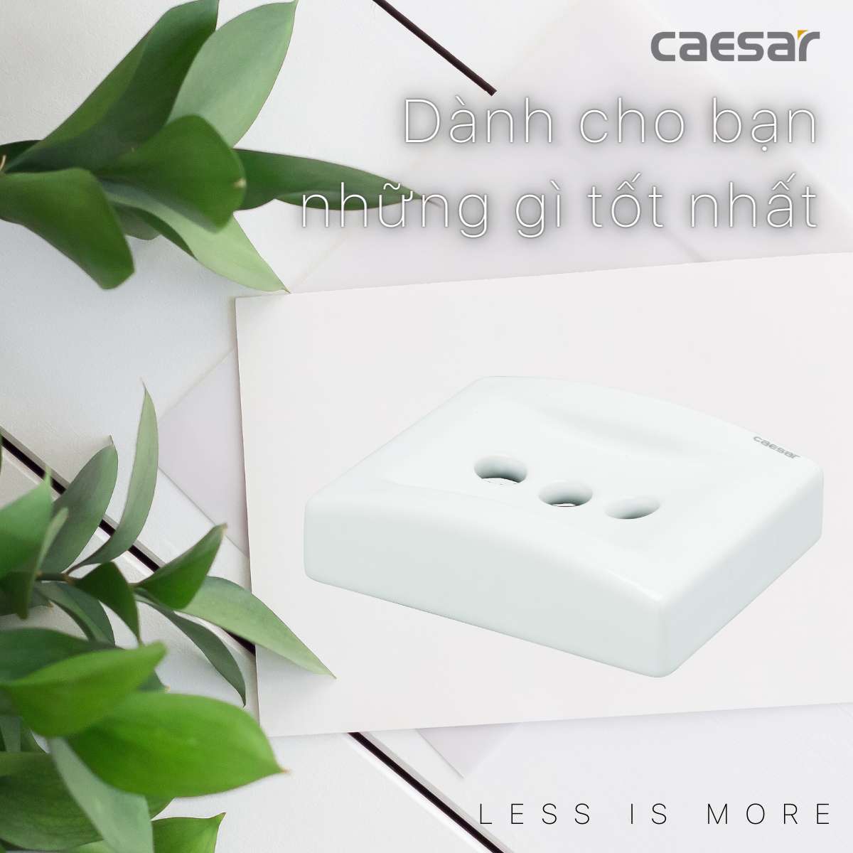 Giá đựng bàn chải răng Caesar Q993 - 10