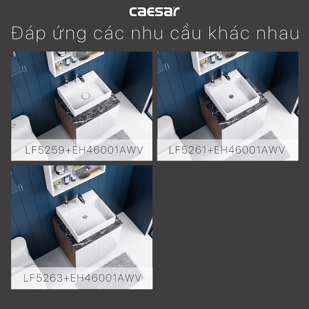 Tủ lavabo Caesar EH46001AWV - 11