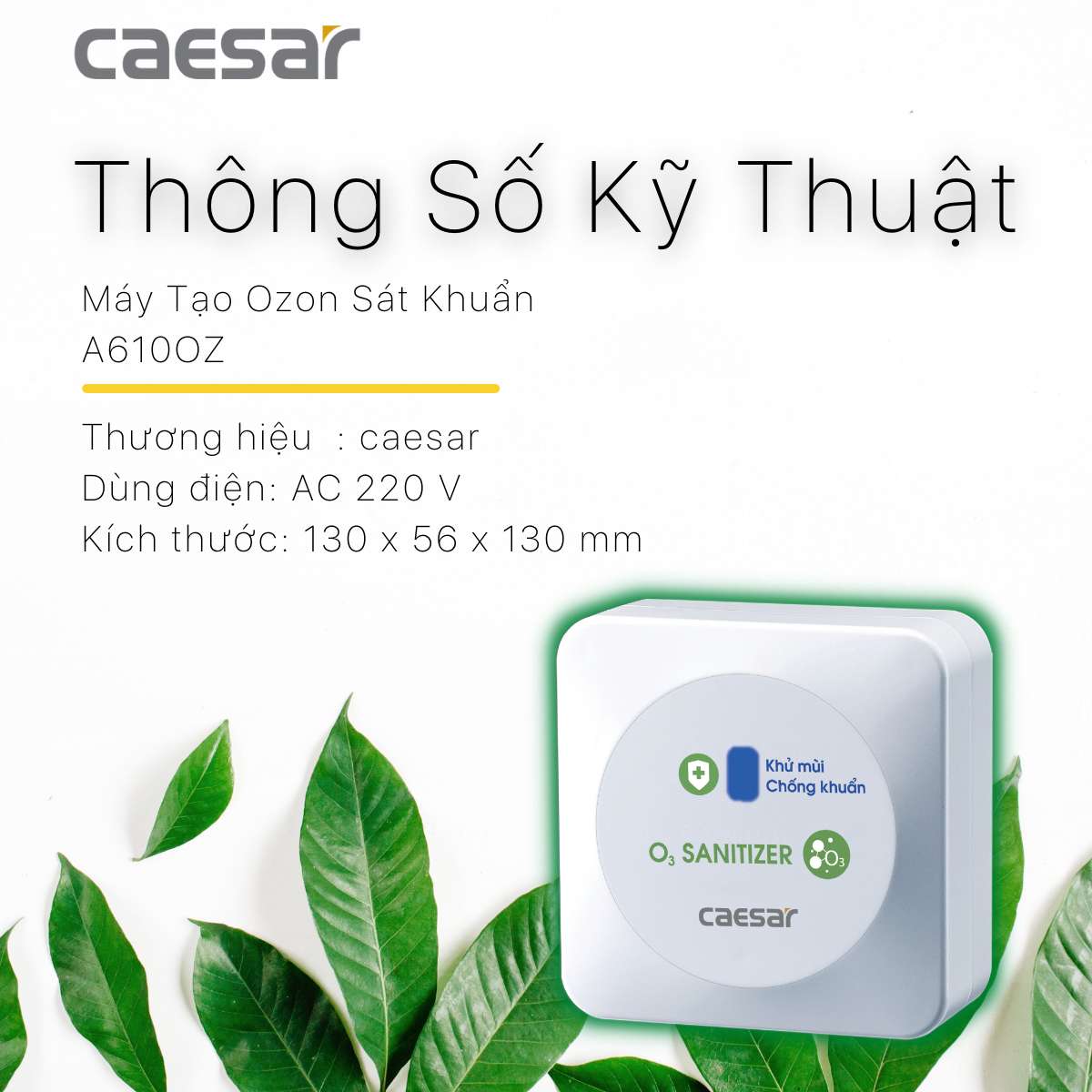 Máy tạo ozon Caesar A610OZ - 9